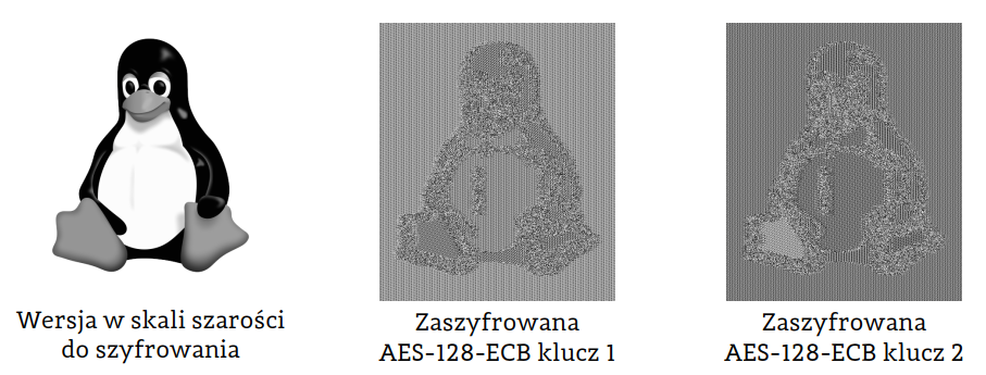 Trzy obrazy, kolejno od lewej - obraz logo Linuxa - pingwin, dwa pozostałe logo poddane szyfrowaniu w trybie ECB 